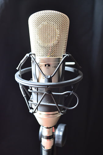 Professional Studio Condenser Microphone Close-Up
