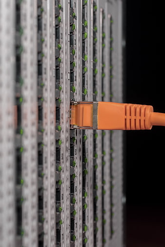 Close-up of orange ethernet cable plugged into network switch port