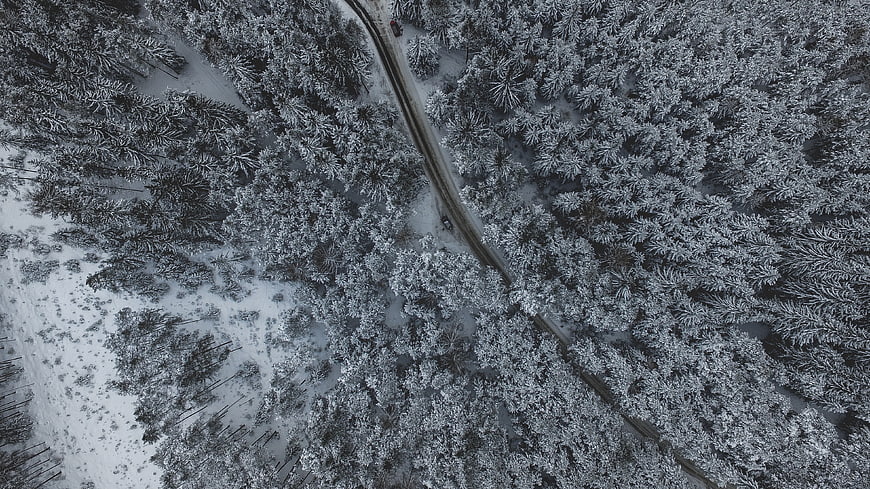 Aerial View of Snowy Forest Road in Winter