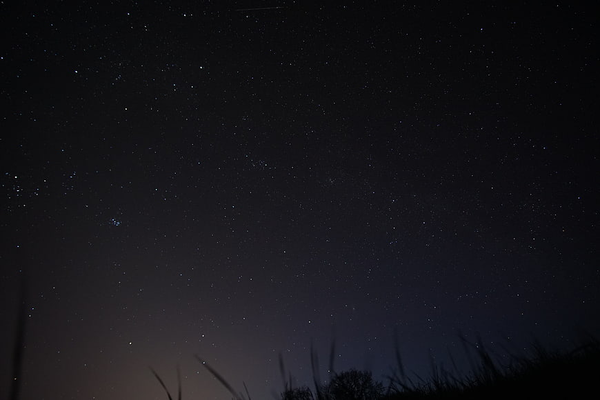Starry Night Sky Over Silhouette of Grass and Trees