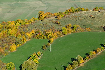 Aerial view of rolling green hills with autumn trees