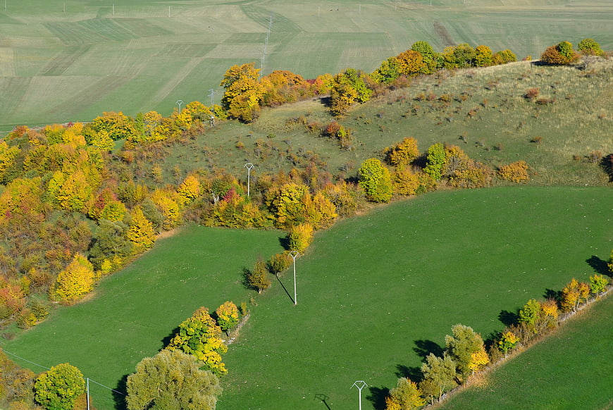 Aerial view of rolling green hills with autumn trees