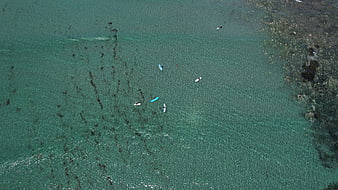 Aerial View of Surfers in Turquoise Ocean Water