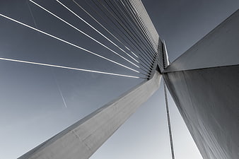 Low angle view of modern cable-stayed bridge architecture against sky