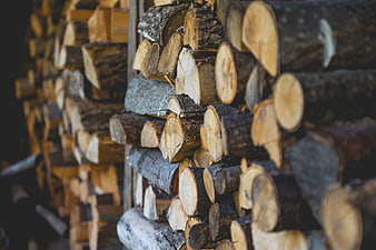 Stacked firewood logs with natural texture and rustic charm