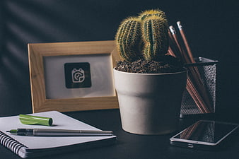 Minimalist workspace with cactus, notebook, and smartphone