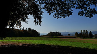 Serene Countryside Landscape with Green Fields and Distant Mountains