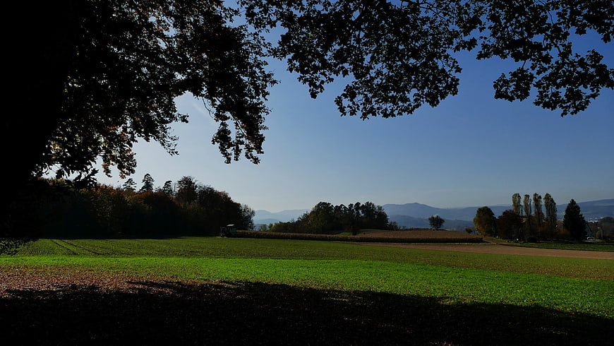 Serene Countryside Landscape with Green Fields and Distant Mountains