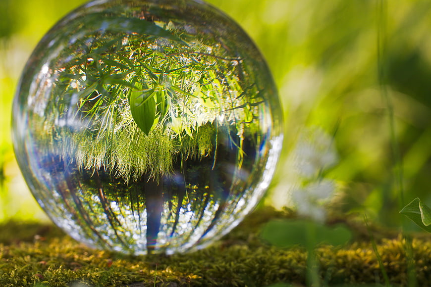 Crystal Ball Reflecting Forest Nature Scene