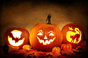 Three Glowing Carved Jack-O-Lanterns With Halloween Silhouettes