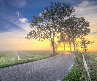 Foggy country road at sunrise with trees and blue sky