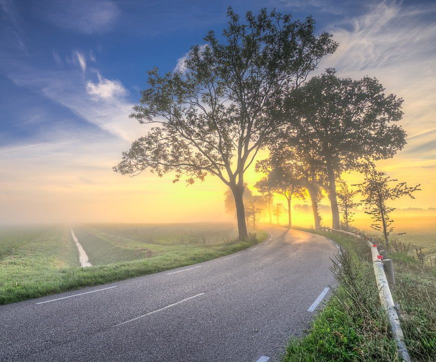 Foggy country road at sunrise with trees and blue sky
