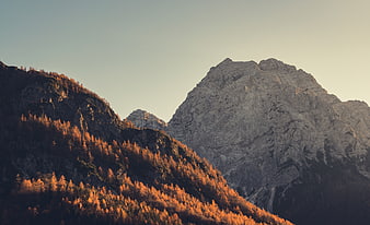 Golden Hour Mountain Peaks with Autumn Forest