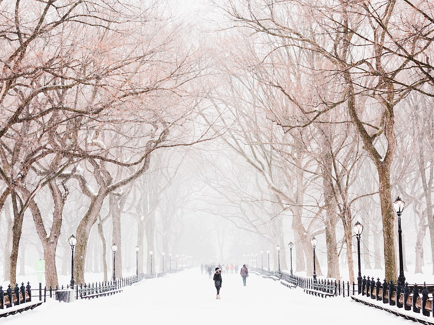 Snowy Park Path With Bare Trees And Street Lamps