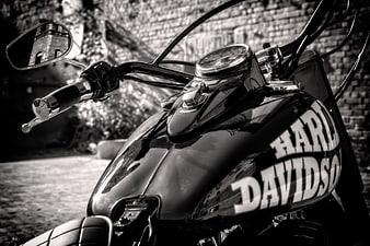 Black and White Close Up of Harley Davidson Motorcycle Tank