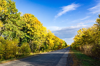 Scenic autumn road with yellow trees and blue sky