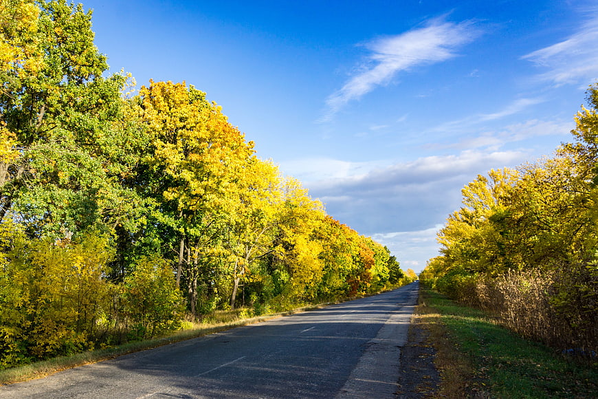 Scenic autumn road with yellow trees and blue sky