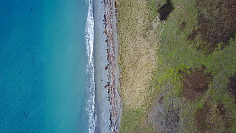 Aerial View of Turquoise Coastline with Driftwood and Grass