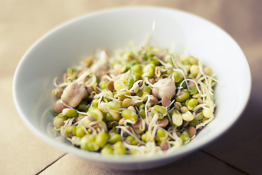 Fresh Mung Bean Sprouts in White Bowl