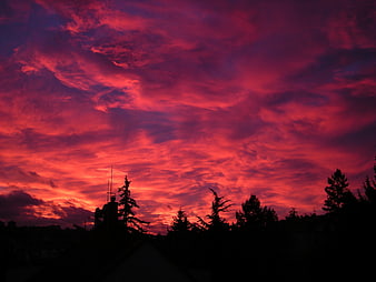 Dramatic Red Sunset Sky With Silhouetted Trees And Horizon