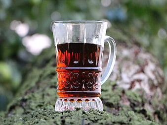 Glass Mug with Red Liquor on Mossy Log