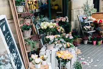 Charming flower shop display with roses and lavender