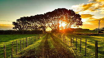 Sunset over rural dirt road with trees and fences