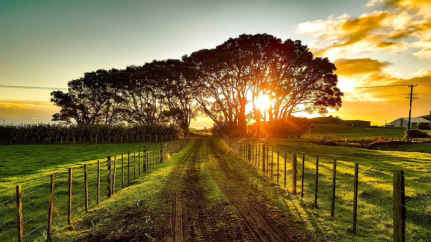 Sunset over rural dirt road with trees and fences