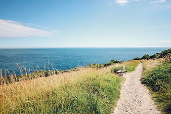 Serene Coastal Path with Bench Overlooking Blue Ocean