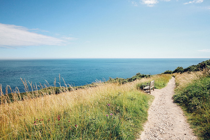 Serene Coastal Path with Bench Overlooking Blue Ocean