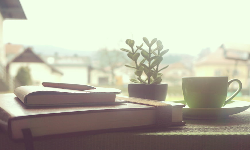Cozy workspace with coffee, notebook, and plant by window