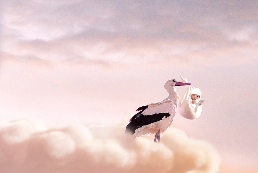 Stork carrying baby in clouds, conceptual birth delivery