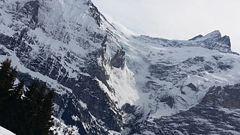 Snowy Swiss Alps Mountain Landscape with Pine Trees
