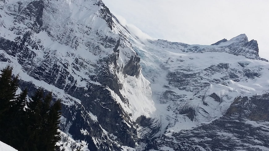 Snowy Swiss Alps Mountain Landscape with Pine Trees
