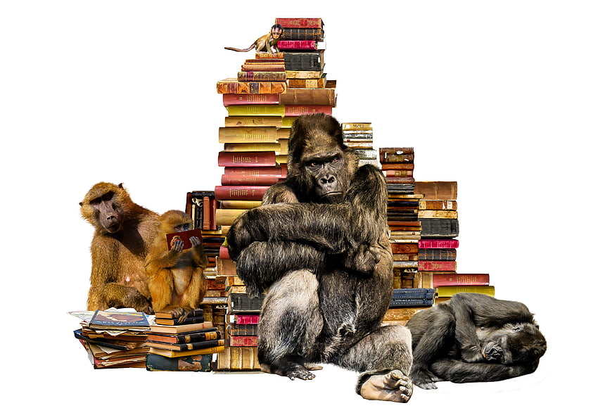 Conceptual collage of monkeys and gorillas reading books