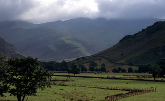 Misty Mountain Valley with Green Pastures and Grazing Cows