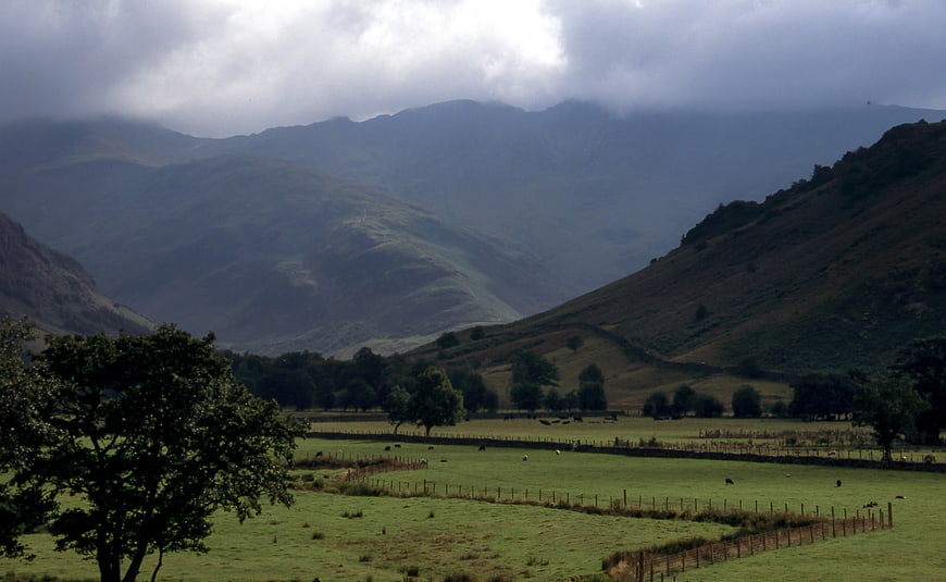 Misty Mountain Valley with Green Pastures and Grazing Cows