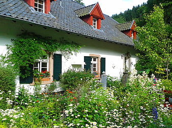 Charming white farmhouse with lush cottage garden and red roof