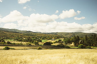 Golden grassy field with rolling hills and blue sky