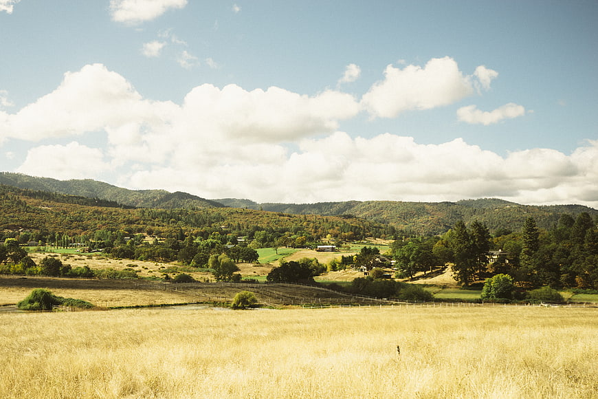 Golden grassy field with rolling hills and blue sky
