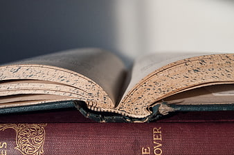 Close-up of vintage open book with speckled pages