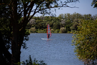 Man Windsurfing on Lake Framed by Trees