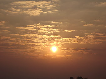 Golden Sunrise Through Textured Clouds with Birds Silhouette