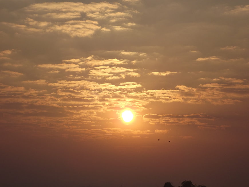 Golden Sunrise Through Textured Clouds with Birds Silhouette