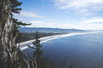 Scenic Pacific Northwest Coastline with Forest and Ocean View