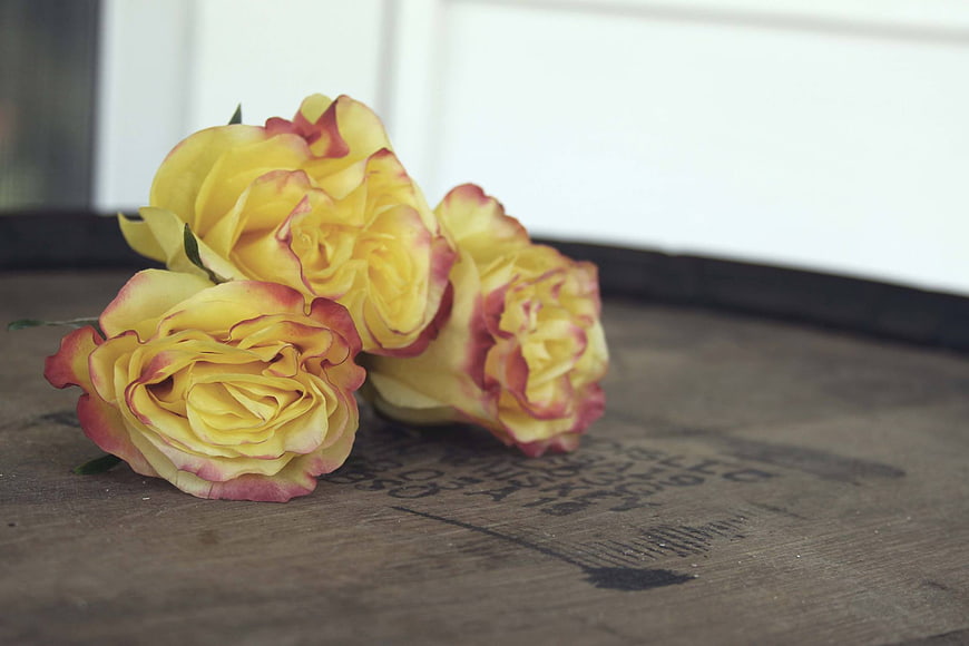 Yellow and Pink Roses on Rustic Wooden Barrel
