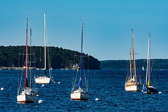 Sailboats Anchored in Blue Harbor on Sunny Summer Day