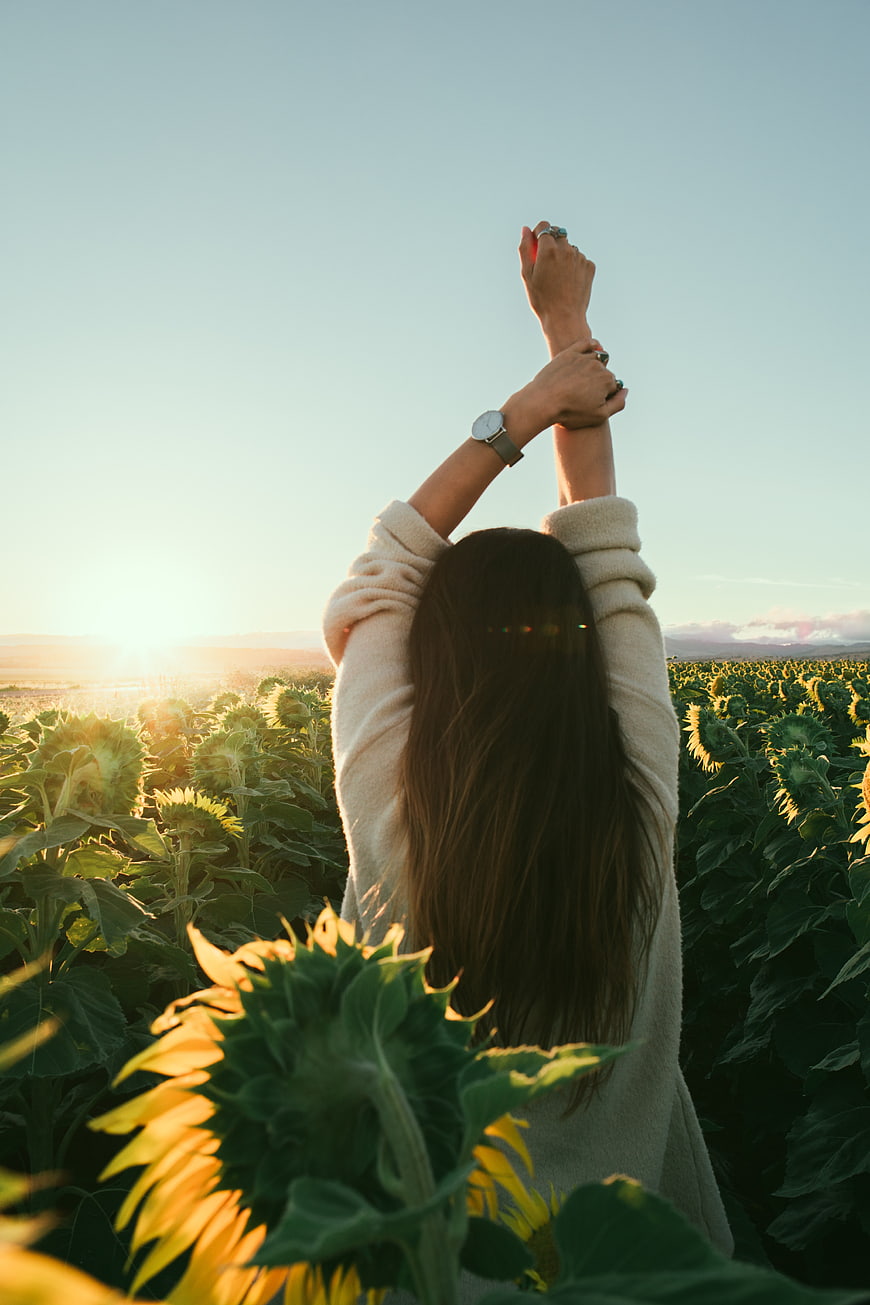 Woman Stretching in Sunflower Field at Sunset