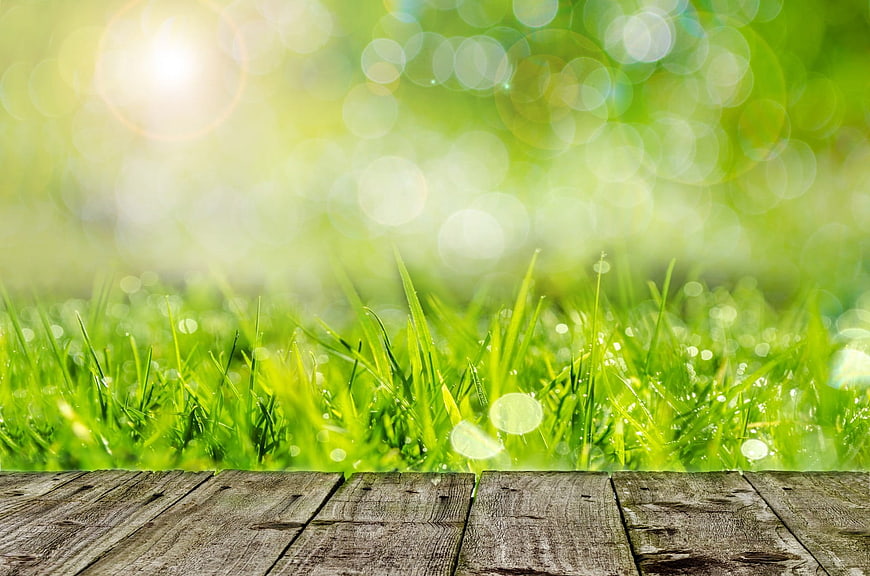 Rustic wooden table with vibrant green grass and bokeh background