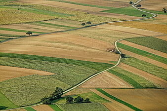 Aerial View of Patchwork Agricultural Fields and Winding Country Road